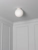 Flush Globe 10"