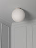 Flush Globe 16"