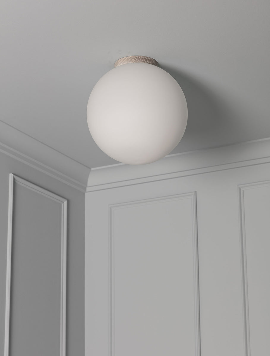 Flush Globe 16"
