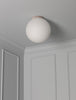 Flush Globe 14"