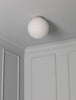 Flush Globe 12"