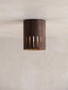 Drum Downlight