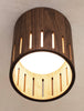 Drum Downlight