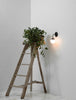 Globe Sconce