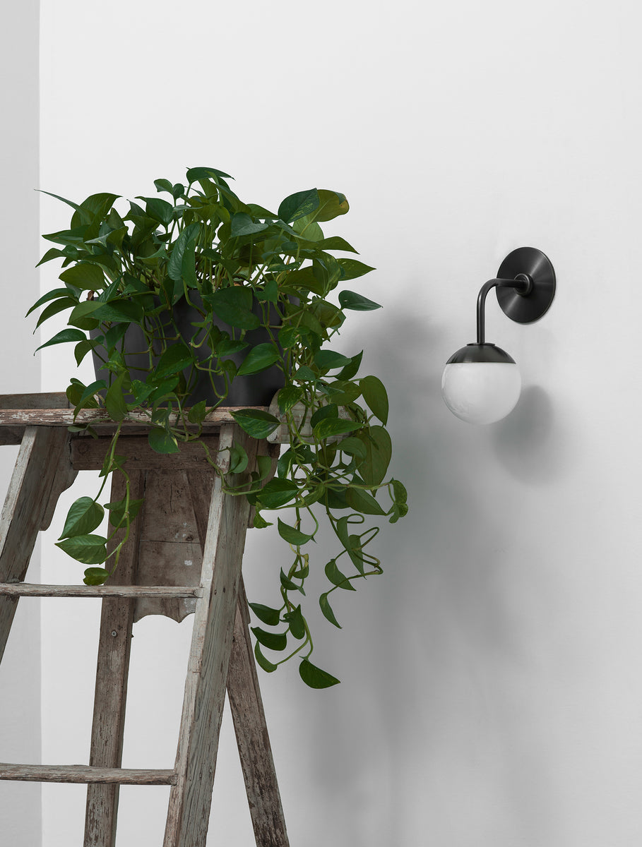 Globe Sconce