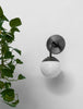 Globe Sconce