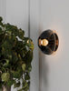 Molten Sconce 7.5"