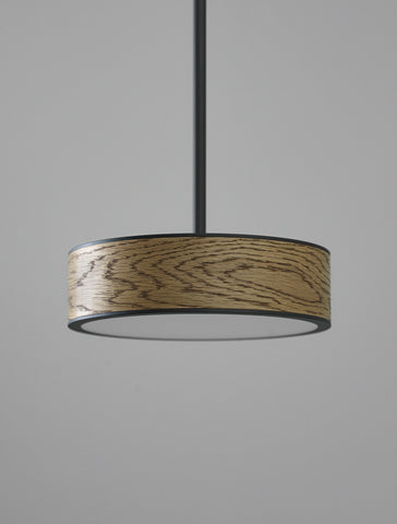 Monoscope Pendant 10"
