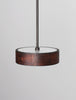 Monoscope Pendant 10"
