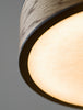 Monoscope Pendant 10"